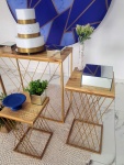 Adulto Azul 1 - imagem 4