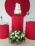 Adulto Vermelho 4 - imagem 3