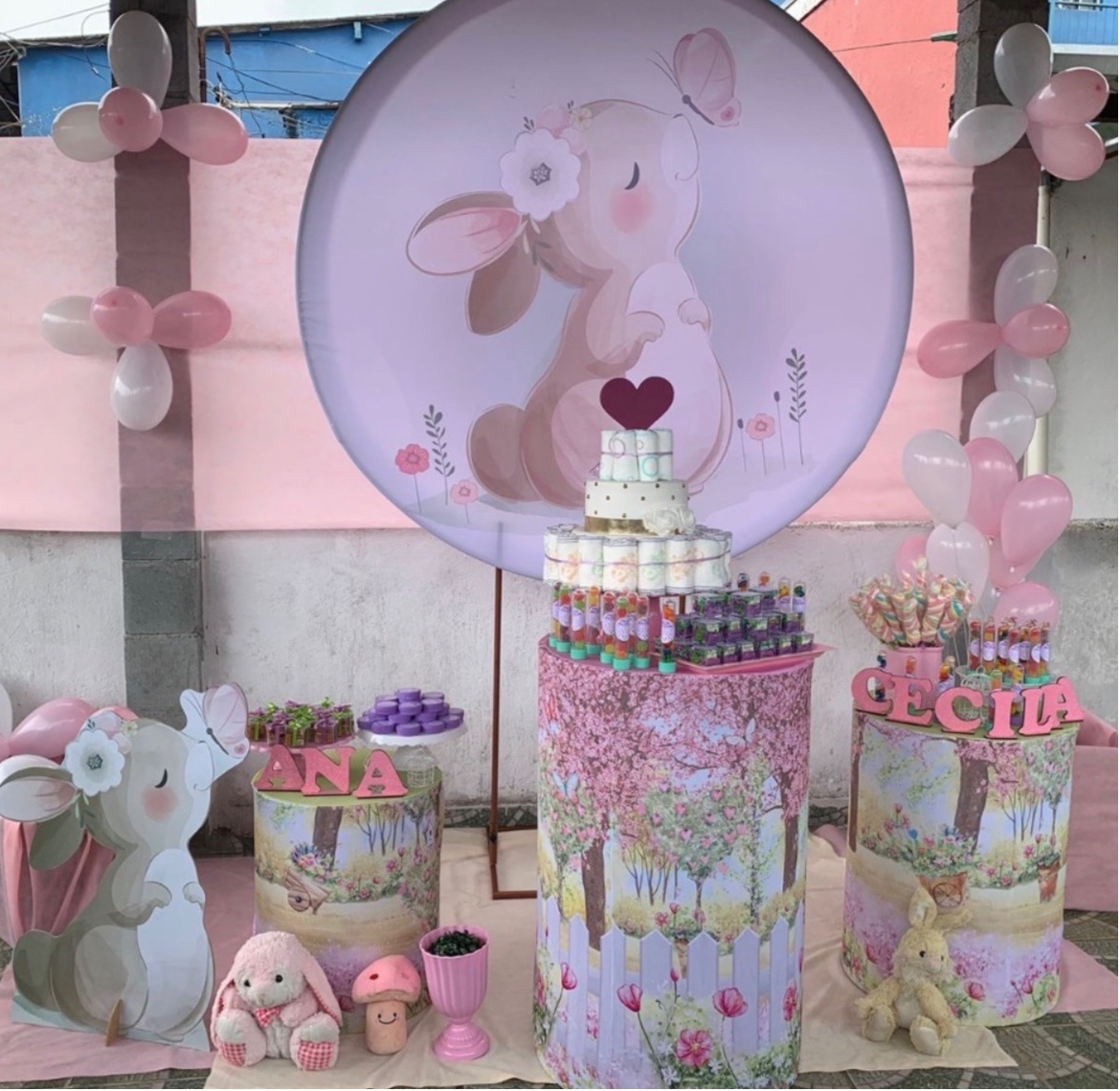 Kit Pm Básico Coelhinha - Jujuba Festa e Cia 