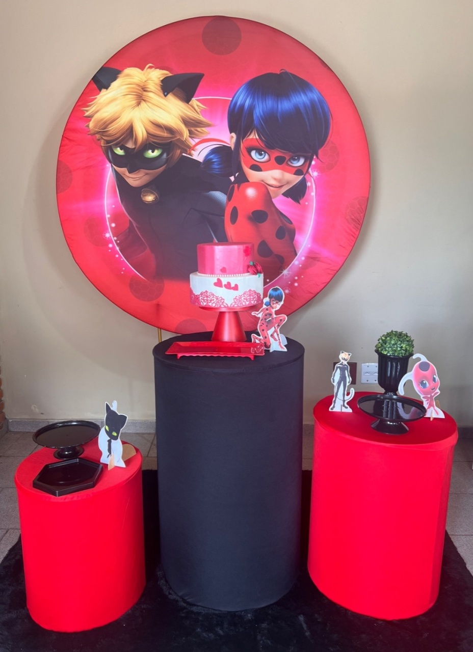 Ladybug E Cat Noir - Jujuba Festa e Cia 