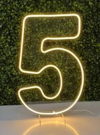 Número Led - 5 - flaviabarrofaldi