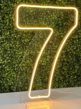 Número Led - 7 - flaviabarrofaldi