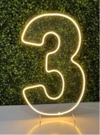 Número Led - 3 - flaviabarrofaldi