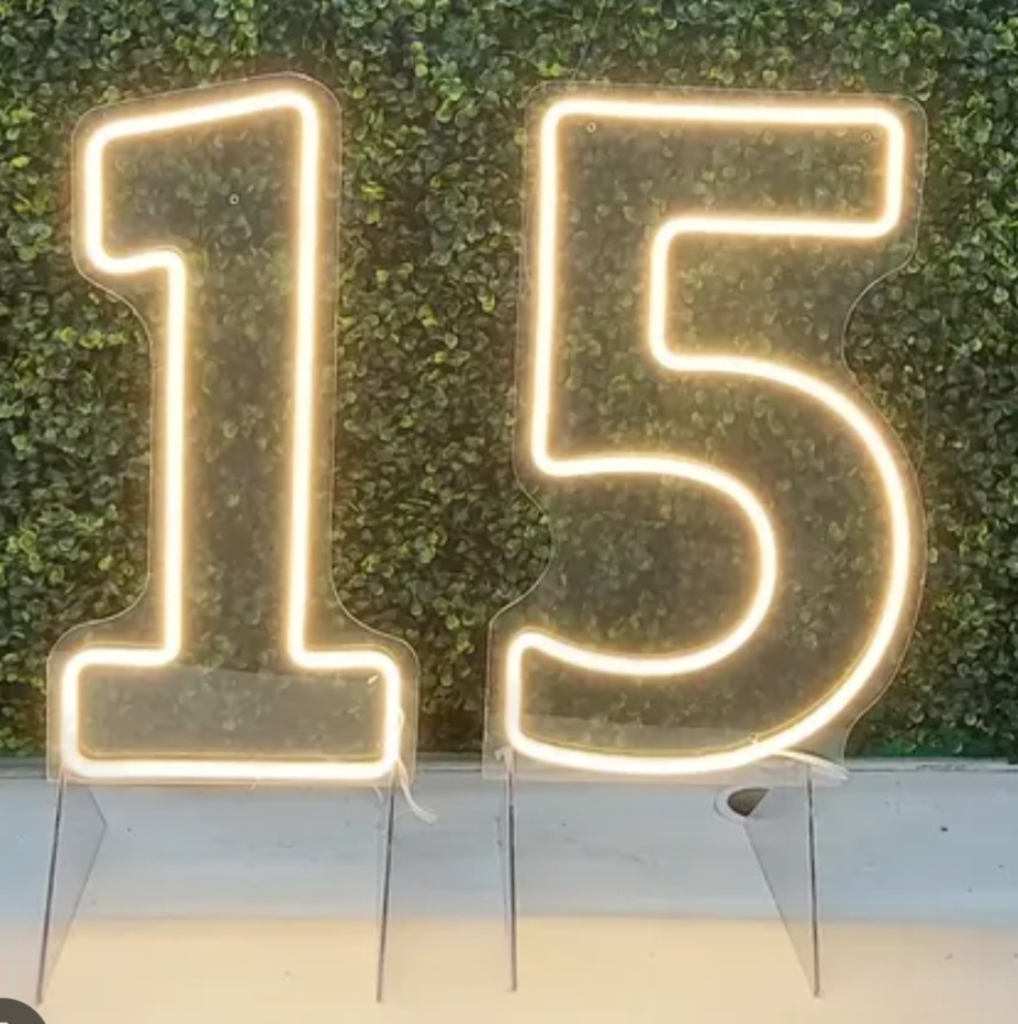 Led 15 Anos - flaviabarrofaldi