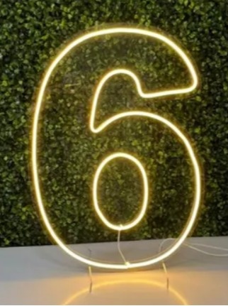 Número Led - 6 - flaviabarrofaldi