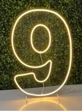 Número Led - 9 - flaviabarrofaldi