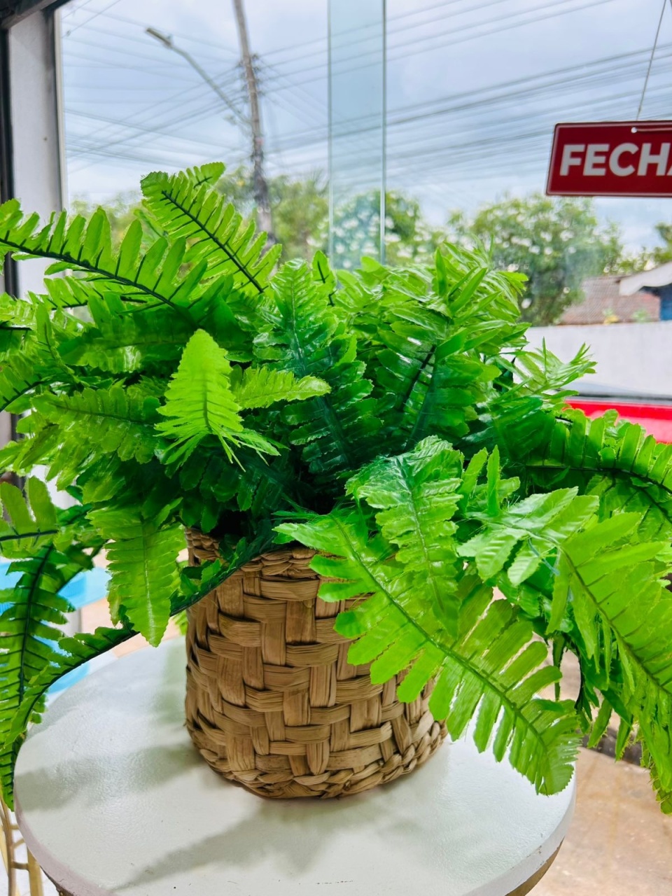 Cesto Com Samambaias - Pegue e Monte Flávia Pimentel