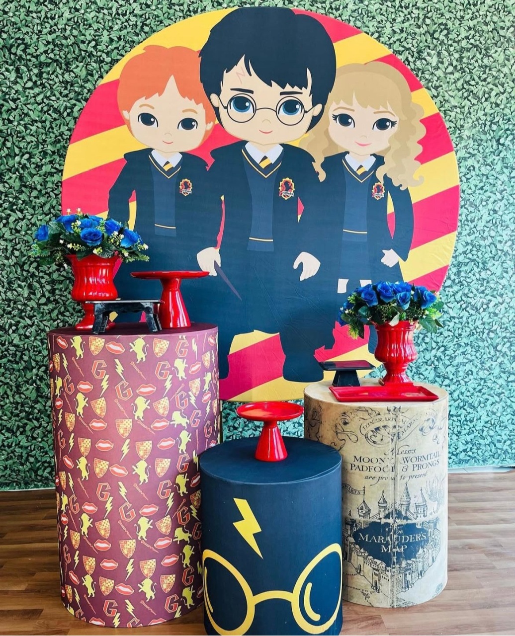 Harry Potter - Pegue e Monte Flávia Pimentel