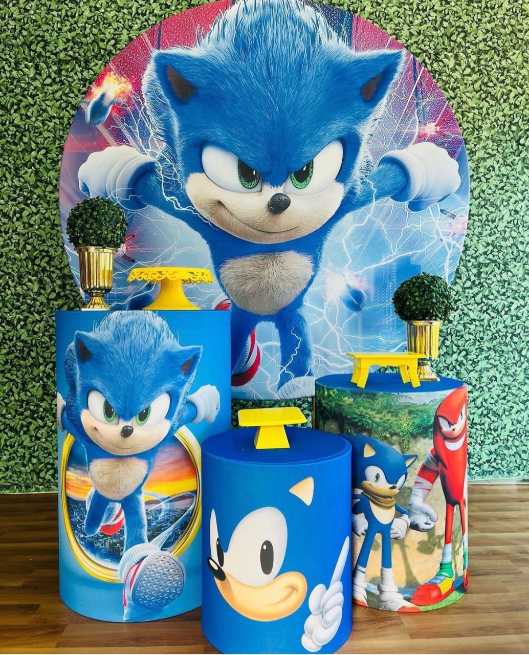 Sonic - Pegue e Monte Flávia Pimentel
