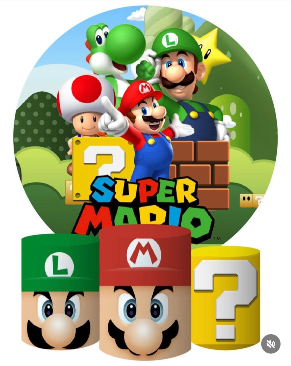 Super Mario Bros - Pegue e Monte Flávia Pimentel
