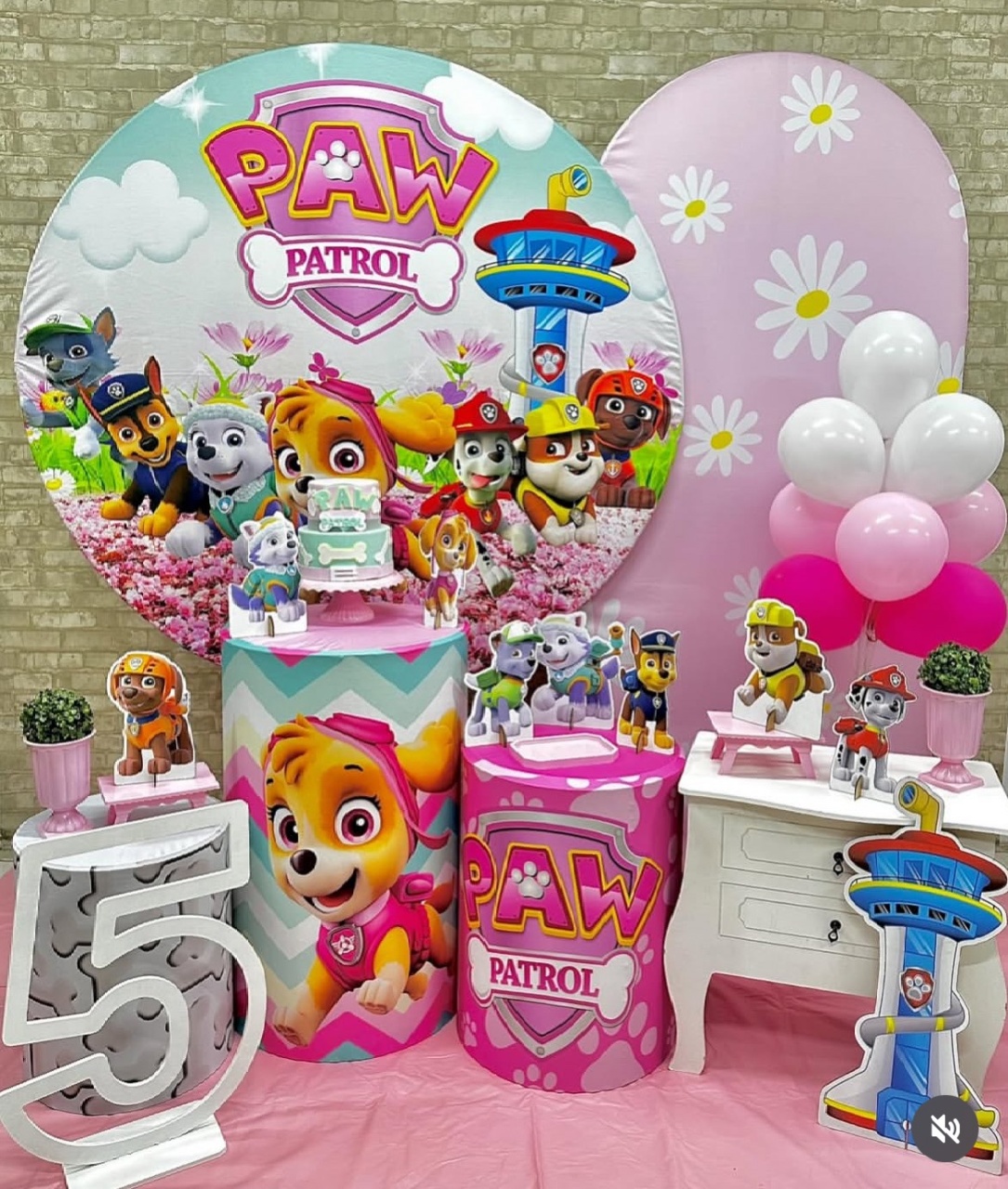 Patrulha Canina Rosa Com Painel Romano  - Helpfestas