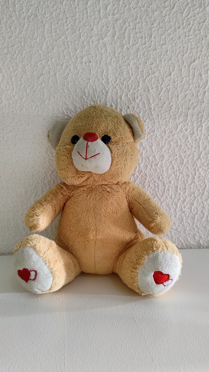 Urso Coração Vermelho - Neide Locações pegue e Monte 