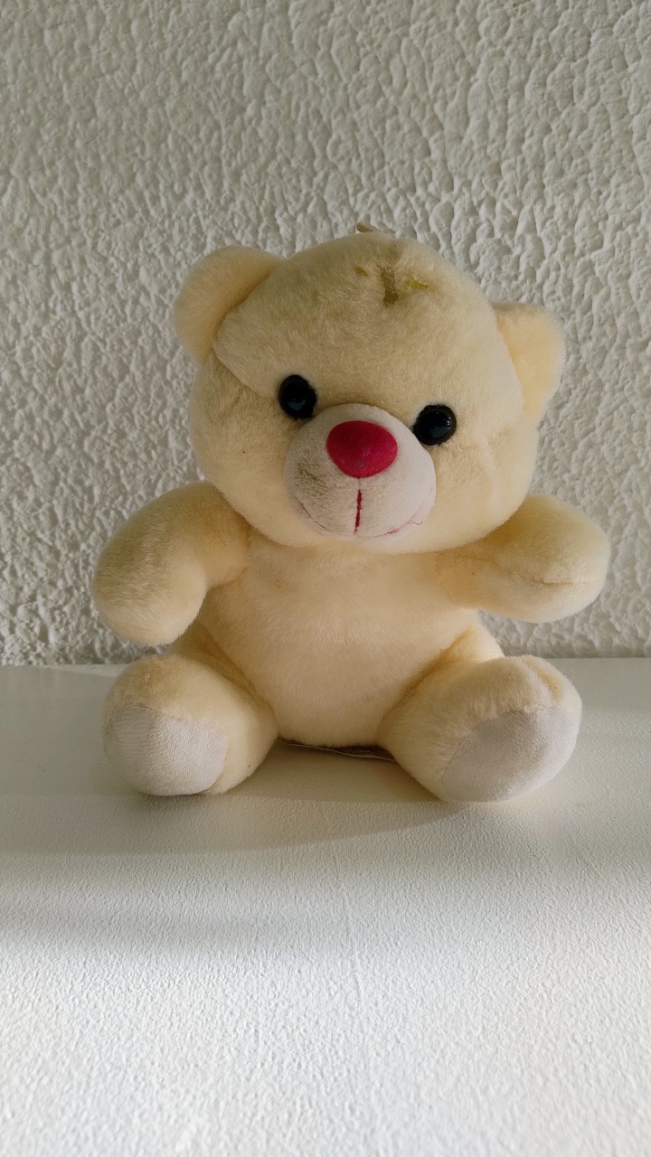 Urso Neutro Pequeno - Neide Locações pegue e Monte 