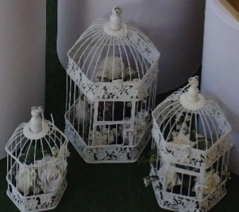Gaiolas Decorativas - Neide Locações pegue e Monte 