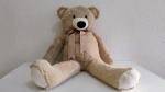 Urso Marrom  - imagem 2