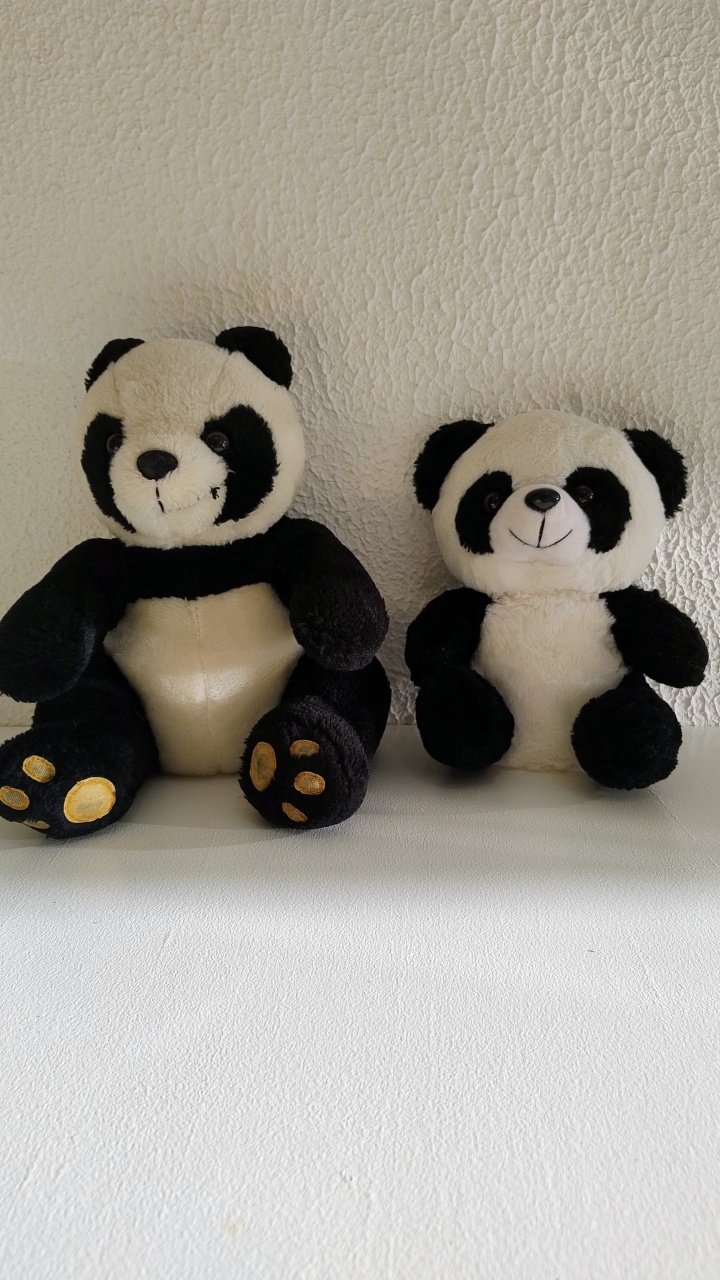 Panda - Neide Locações pegue e Monte 
