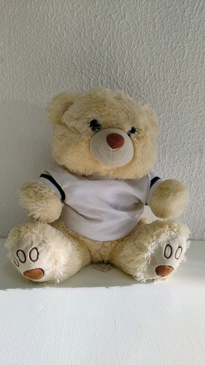 Urso Com Camiseta  - Neide Locações pegue e Monte 