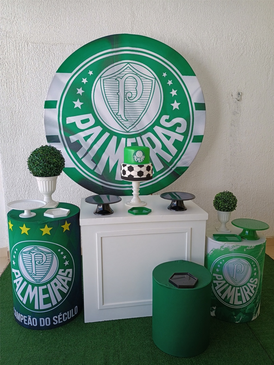 Kit Pegue E Monte Palmeiras - Premium - Neide Locações pegue e Monte 