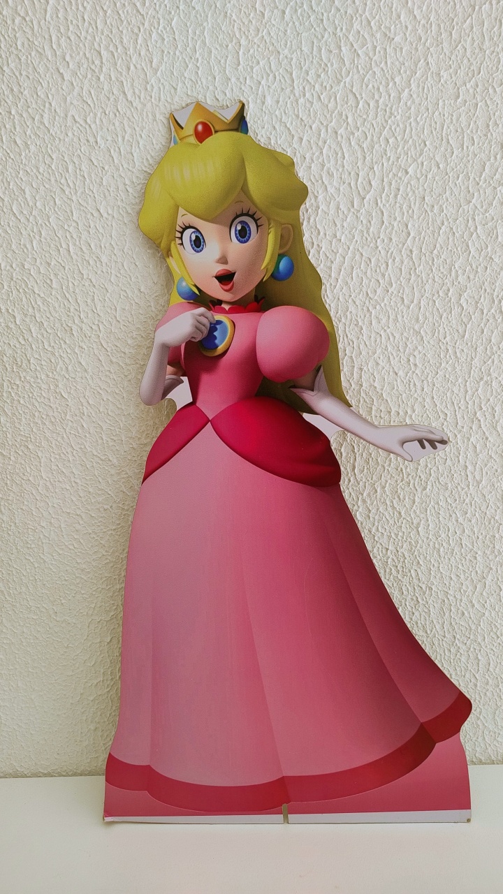 Displays de Chão E de Mesa Princesa Mário - Neide Locações pegue e Monte 