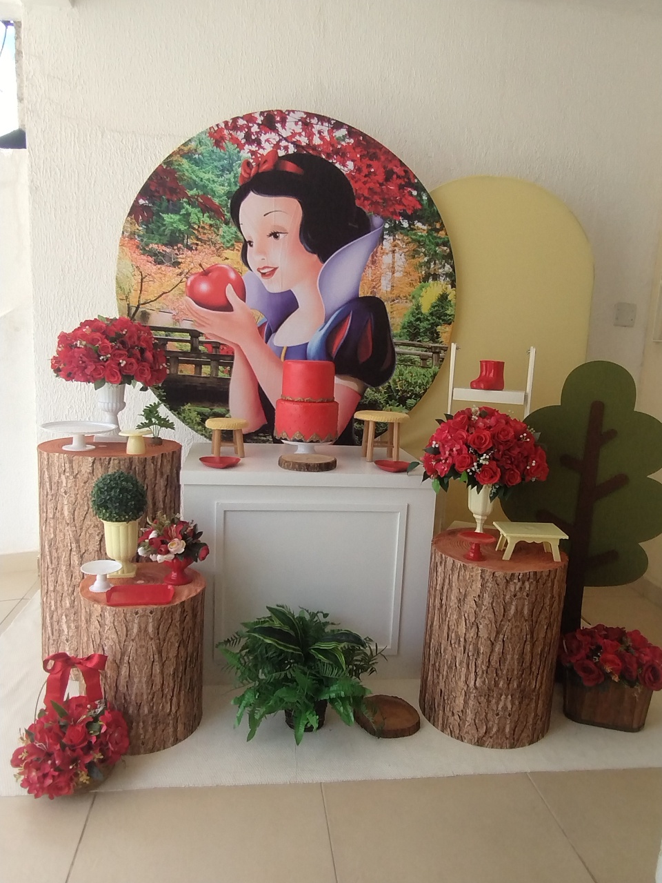 Kit Pegue E Monte Branca de Neve - Luxo - Neide Locações pegue e Monte 