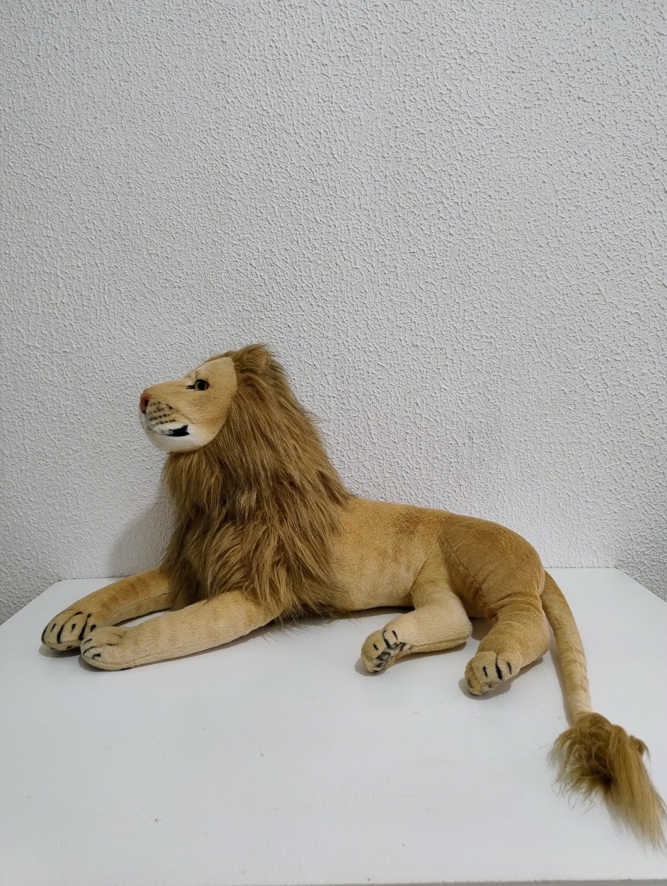 Leão - Neide Locações pegue e Monte 