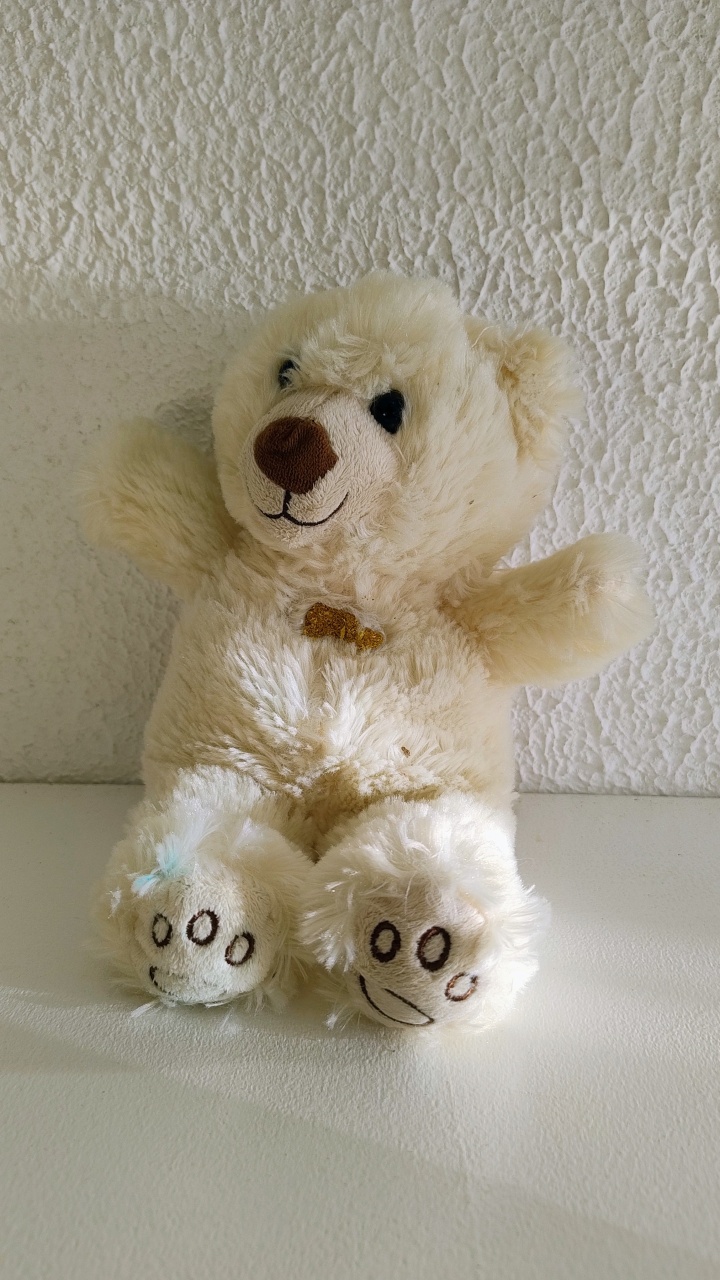 Urso Creme - Neide Locações pegue e Monte 