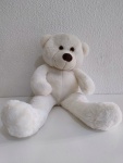 Urso Branco - imagem 1