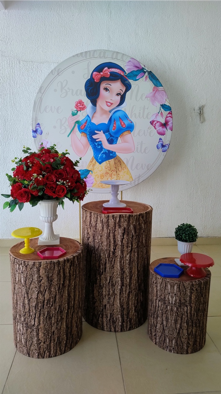 Kit Pegue E Monte Branca de Neve Cilindro Tronco - Tradicional - Neide Locações pegue e Monte 