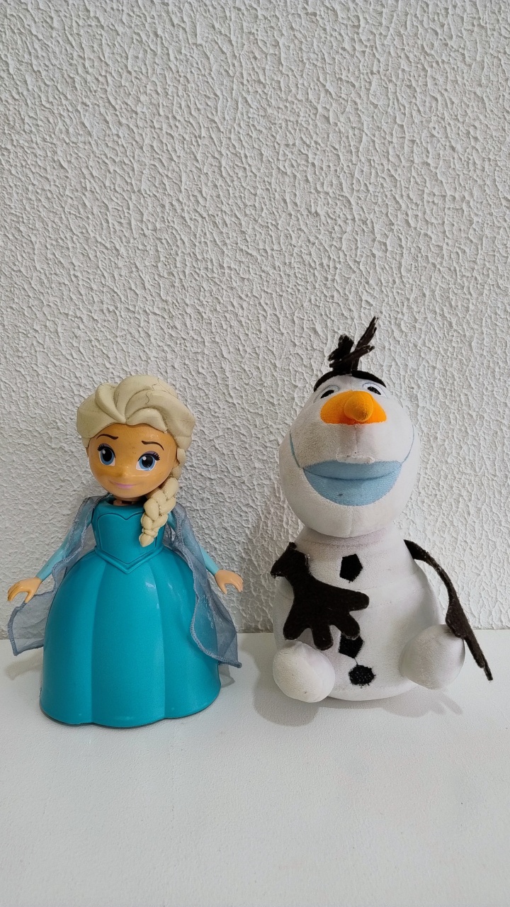 Frozen - Neide Locações pegue e Monte 