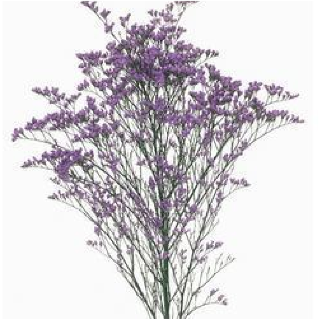 Mosquitnho Lilas - Tallentos Decorações 