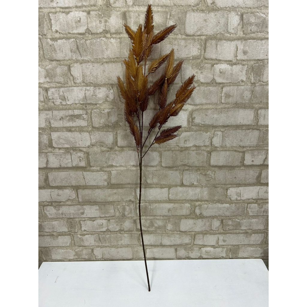 Capim Chorão -  Flor Seca - Tallentos Decorações 
