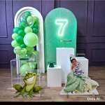 Alugue Tema Para Festa Decoração Princesa E O Sapo Tecido ( Modelo 5 ) - imagem 1
