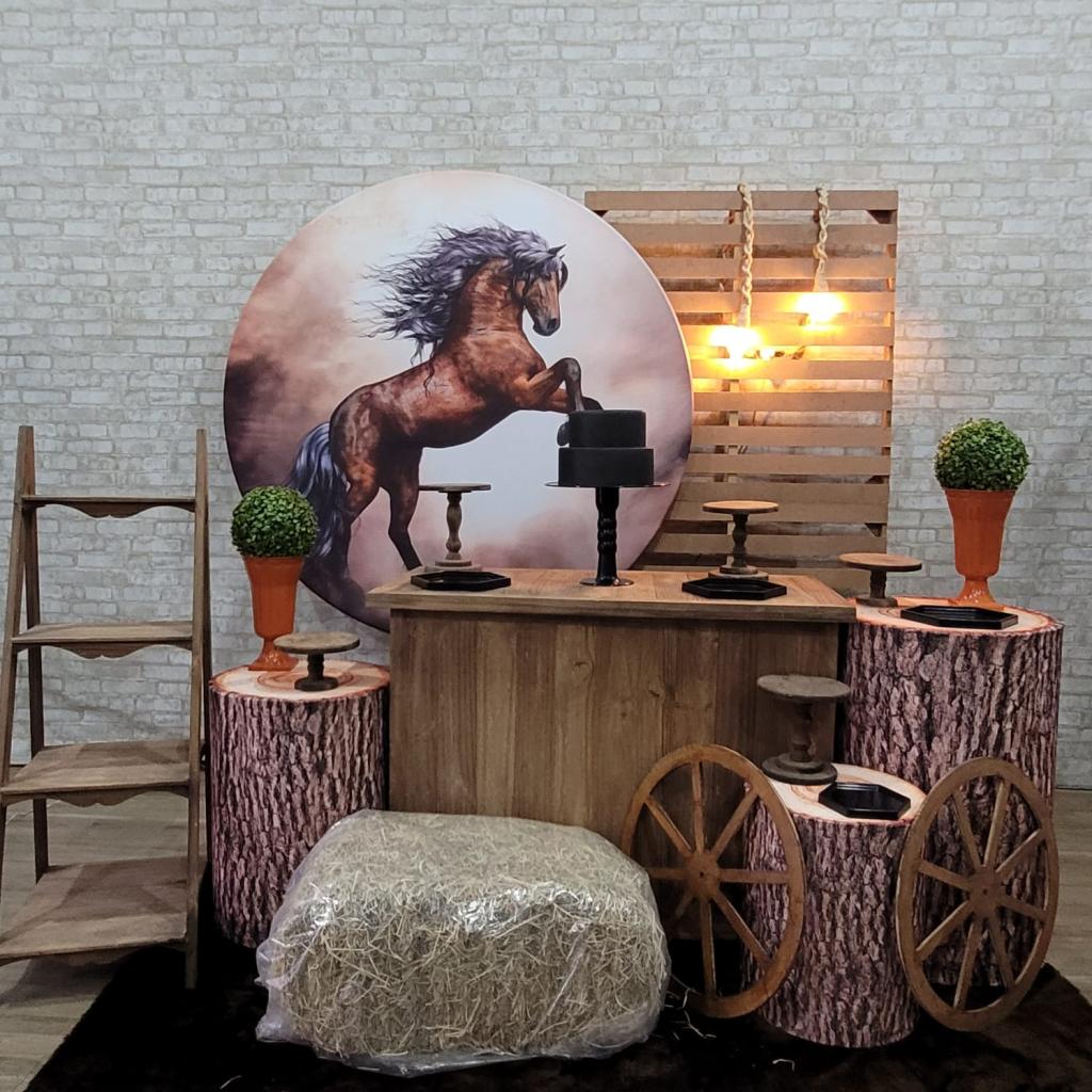 Alugue Tema Para Festa Decoração Cavalo Tecido ( Modelo 3 ) - Tallentos Decorações 