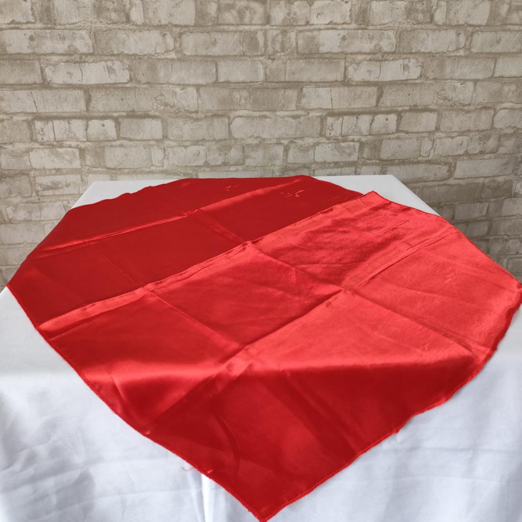 Alugue Cobre Mancha Vermelho - Vermelho - Tallentos Decorações 