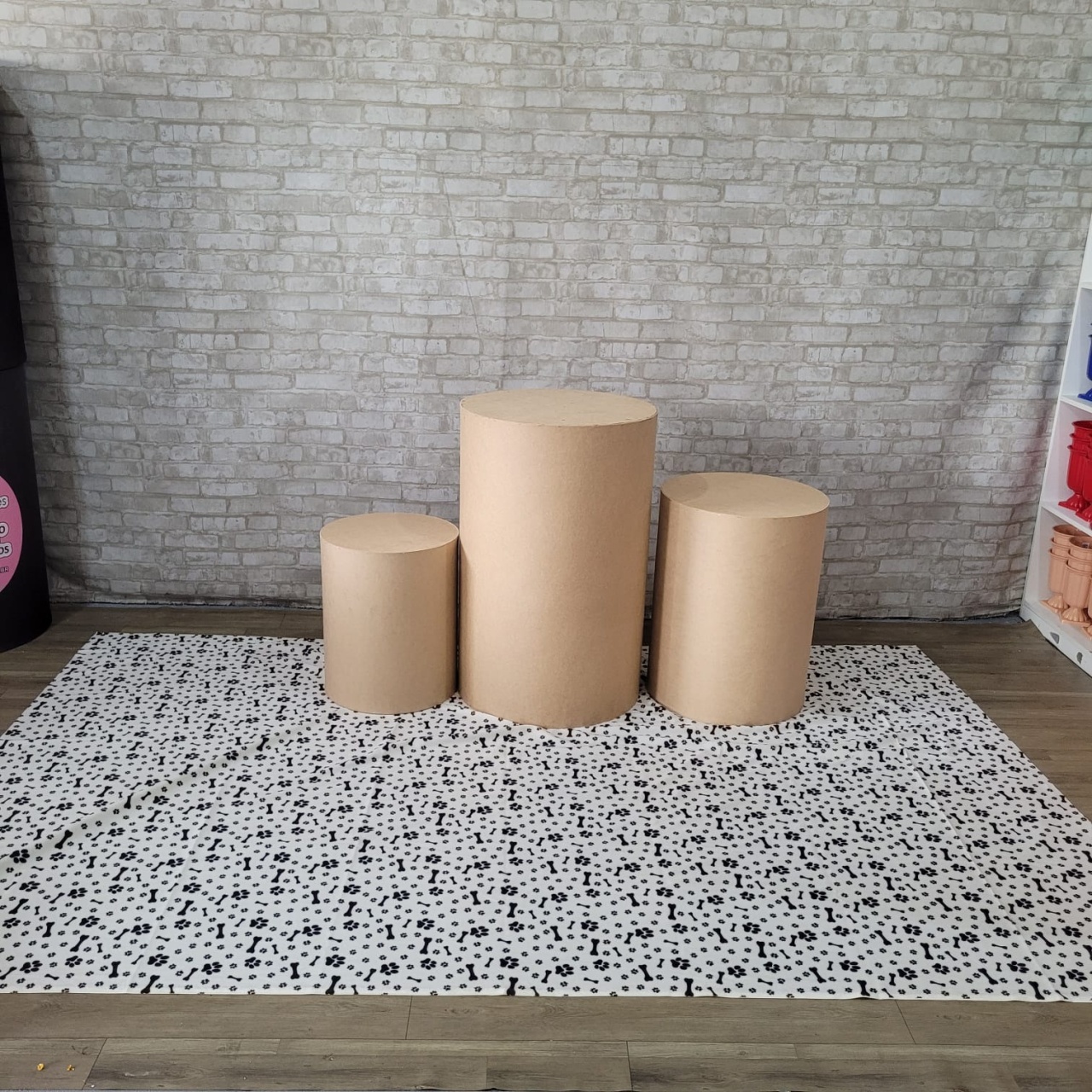 Alugue Tapete Pelucia - Pet - Tallentos Decorações 