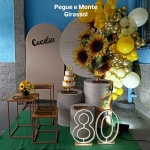 🎉 Kit Decoração Completa Adulto - imagem 4