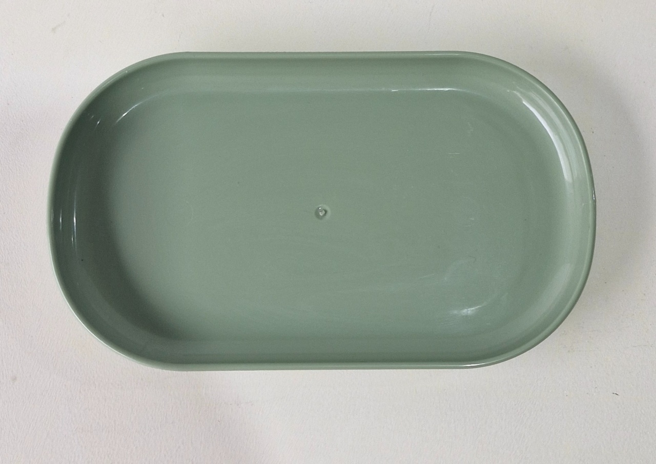 Prato Plástico Verde  - BEMDEFESTA