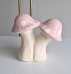 Cogumelo Rosa - imagem 1