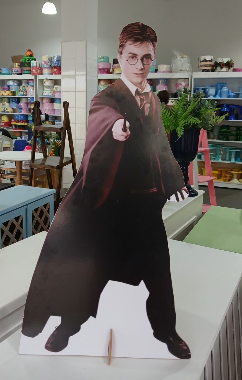Display Chao Harry Poter - BEMDEFESTA
