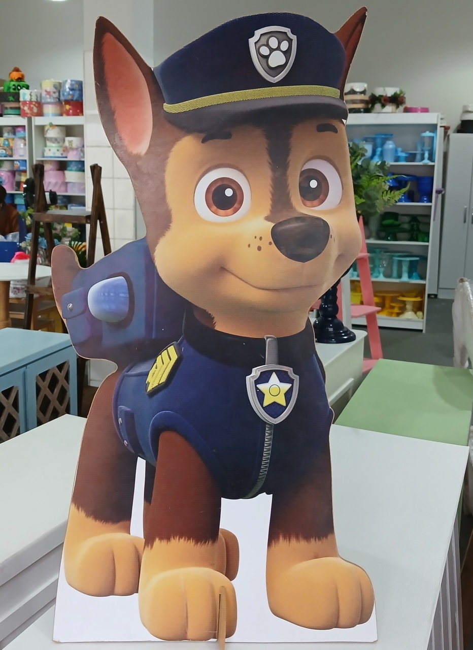 Display Chao Patrulha Canina - BEMDEFESTA