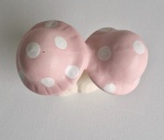 Cogumelo Rosa - imagem 2