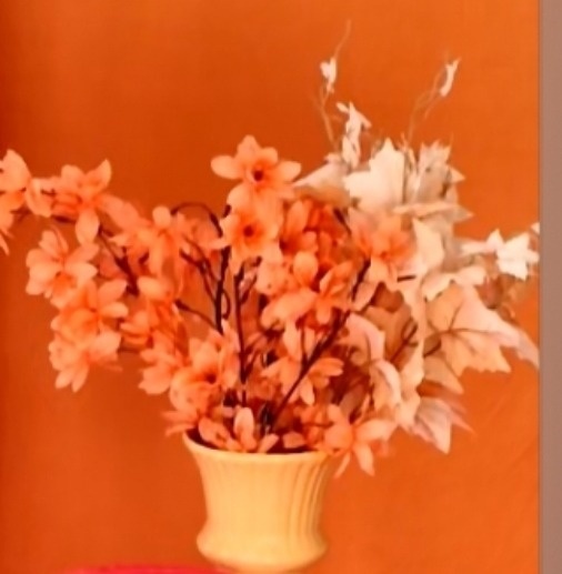 Folhagem Flor Do Canada - BEMDEFESTA