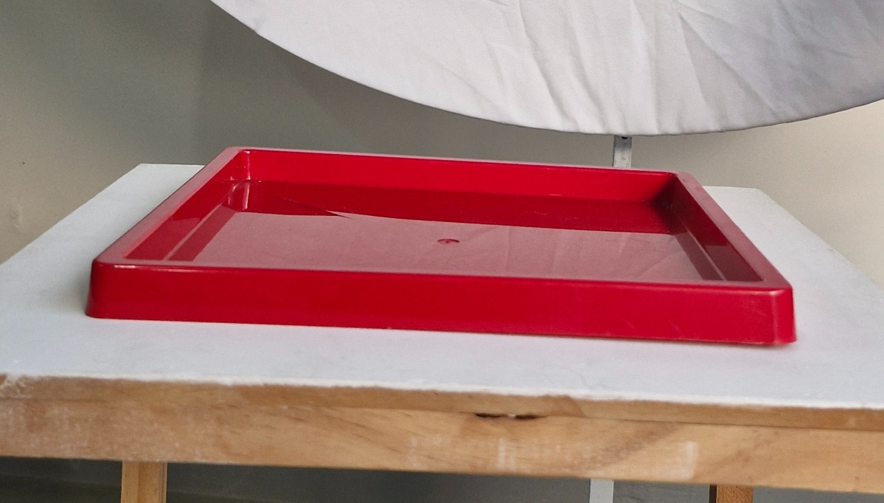 Prato Plástico Vermelho  - BEMDEFESTA