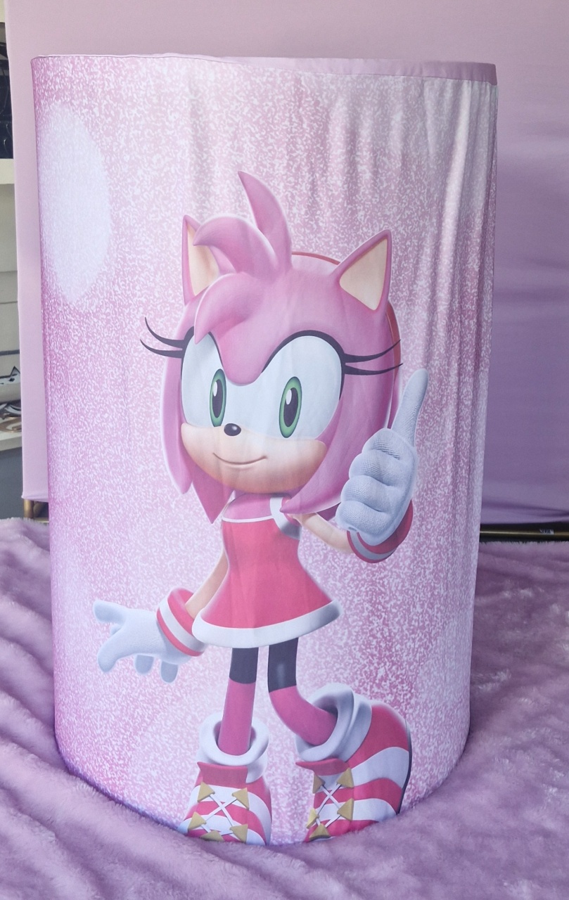 Capa Sonic E Amy G - BEMDEFESTA