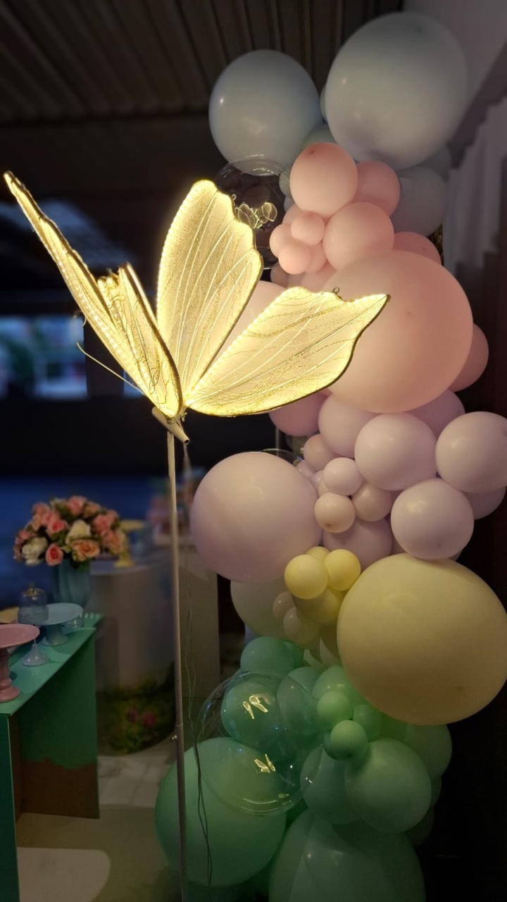 Borboleta de Led - Fazendo a Festa