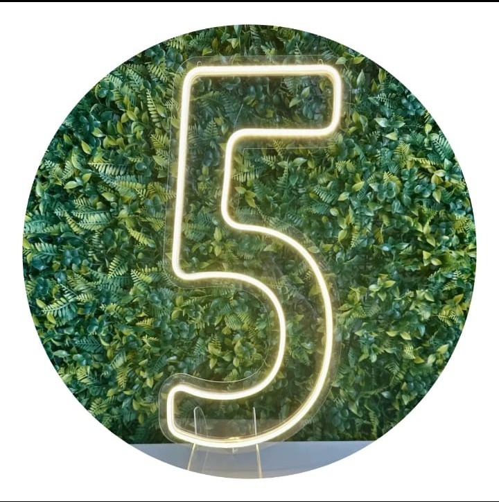Numero 5 Led  - Fazendo a Festa