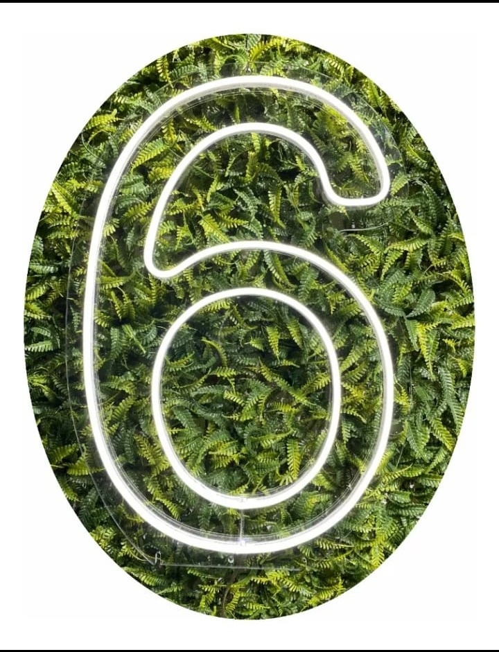 Numero 6 Led - Fazendo a Festa