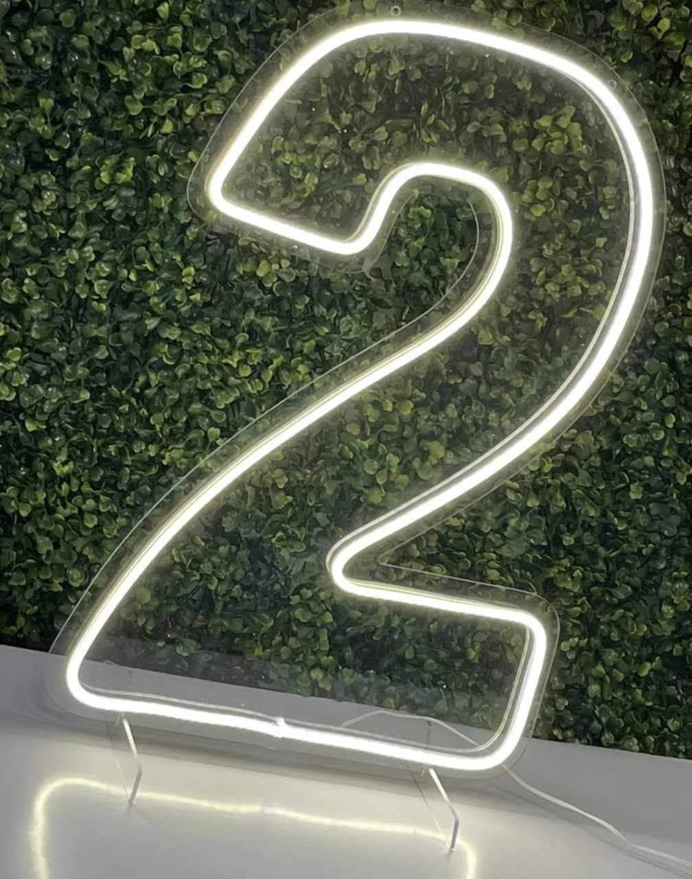 Numero 02 Led - Fazendo a Festa