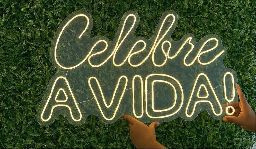 Celebre A Vida - Fazendo a Festa