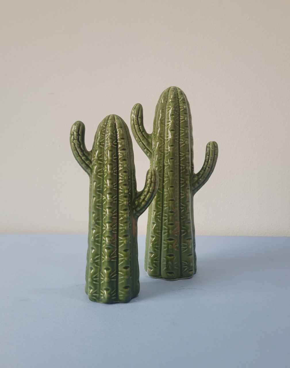 Kit Cactus - AcervodosSonhos 